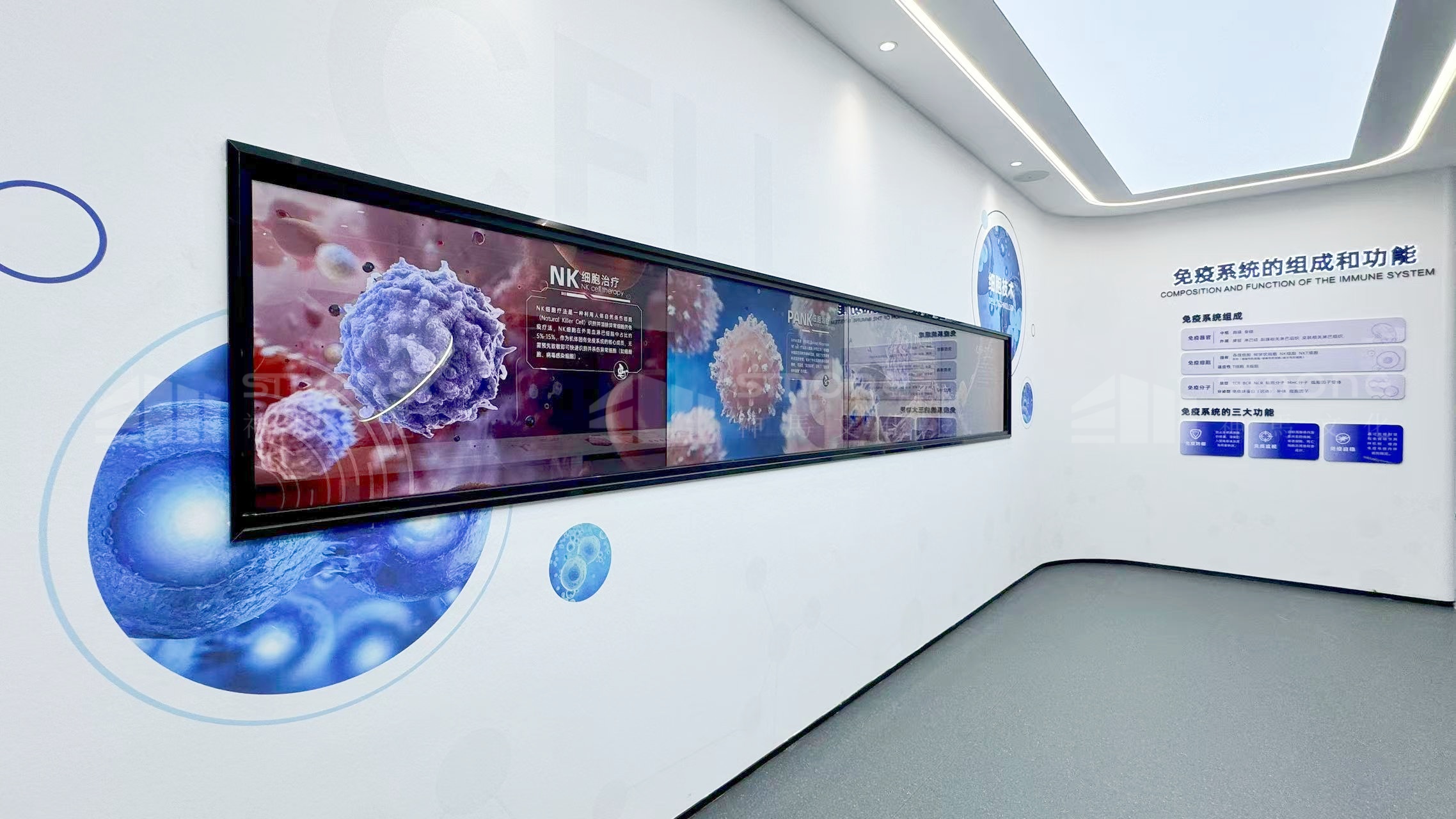 1758627011604645.jpg 奥本先康达实拍图 (9).jpg