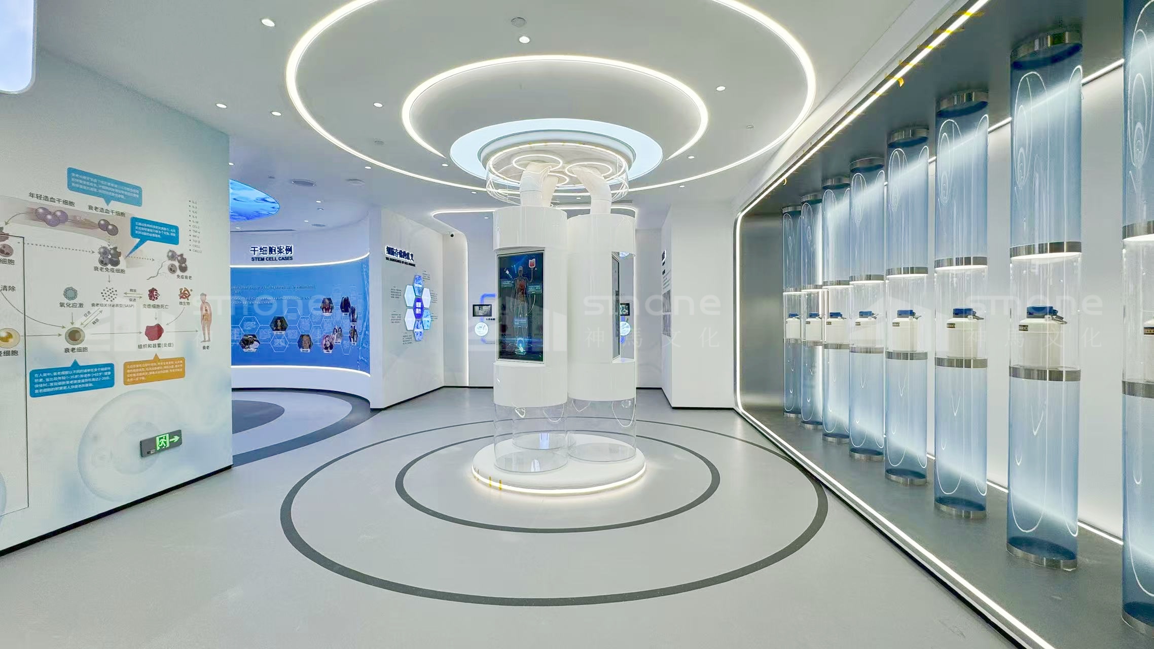 奥本先康达实拍图 (11).jpg