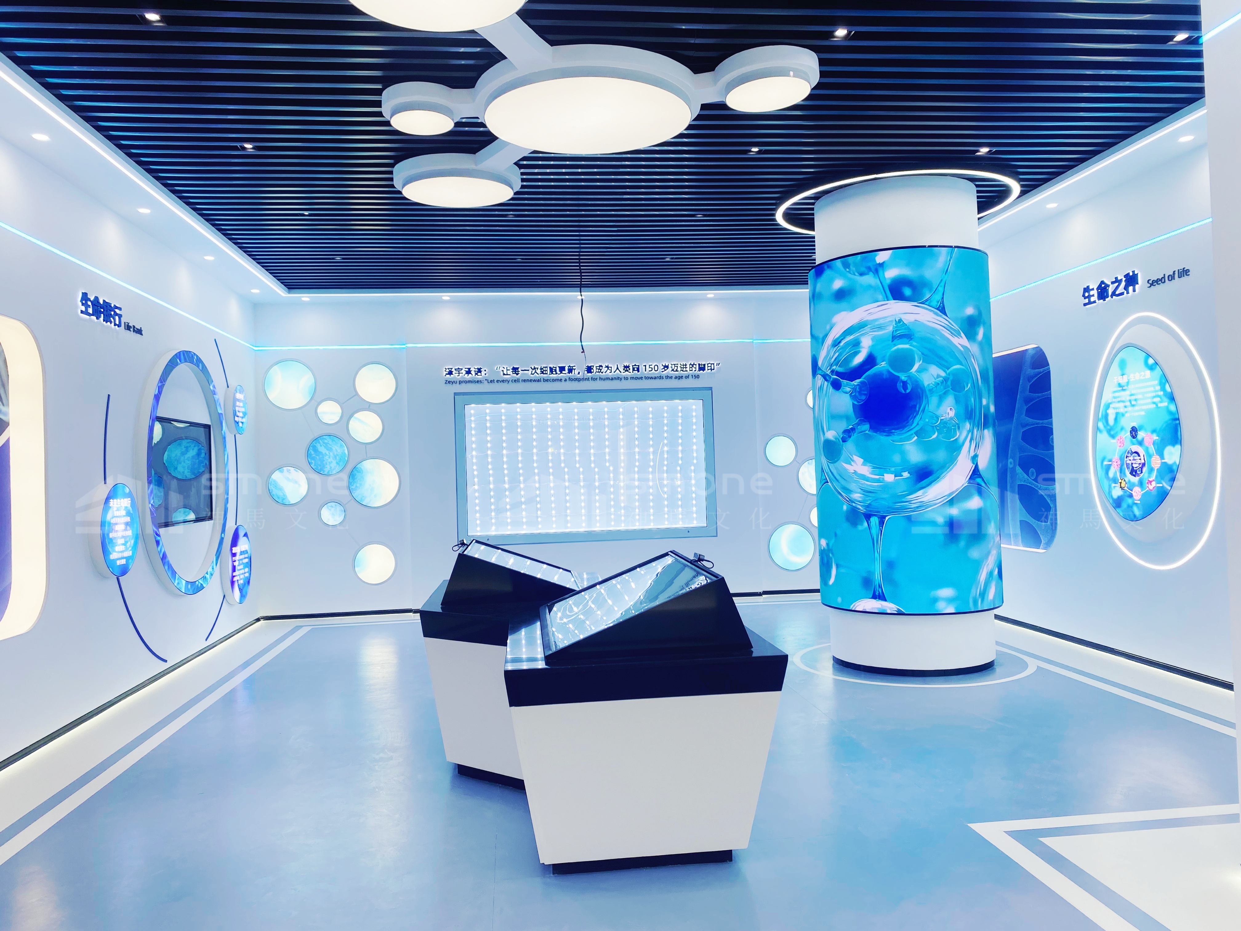 南京泽宇生物 (10).jpg