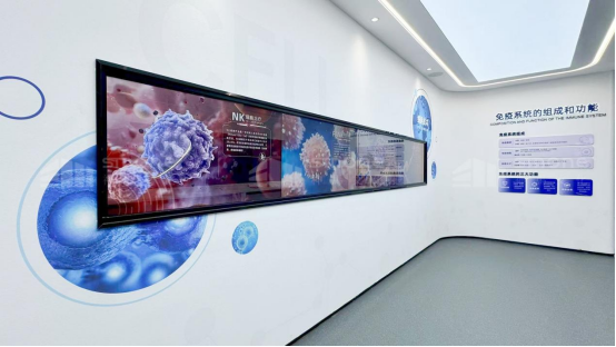 1761875346845763.png image.png