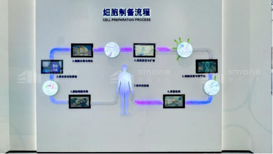 1762138676508219.png image.png