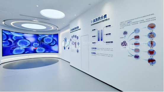 1762138680777356.png image.png