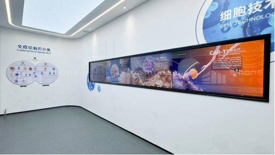 1762138684241707.png image.png