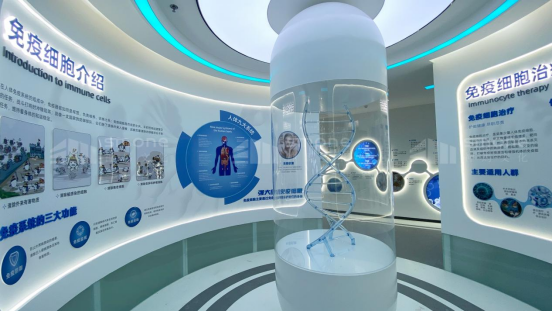 1763687785970232.png image.png