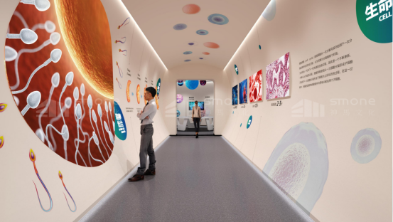 1764317426200571.png image.png