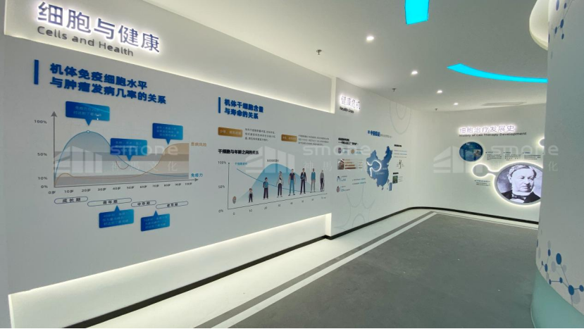 1765728992960746.png image.png