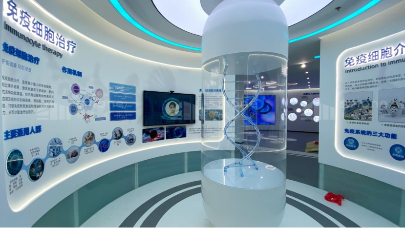 1765729006902486.png image.png