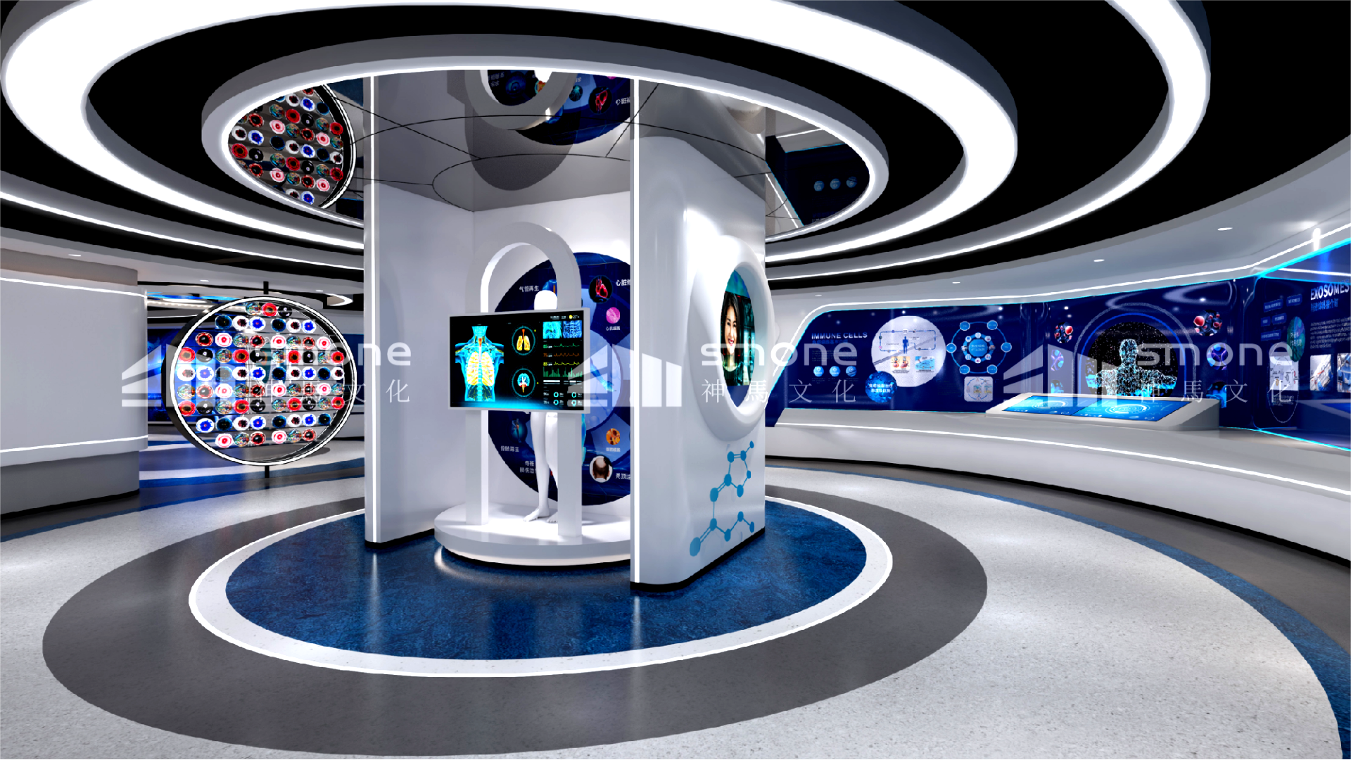 赛恩福细胞科普展厅2.png