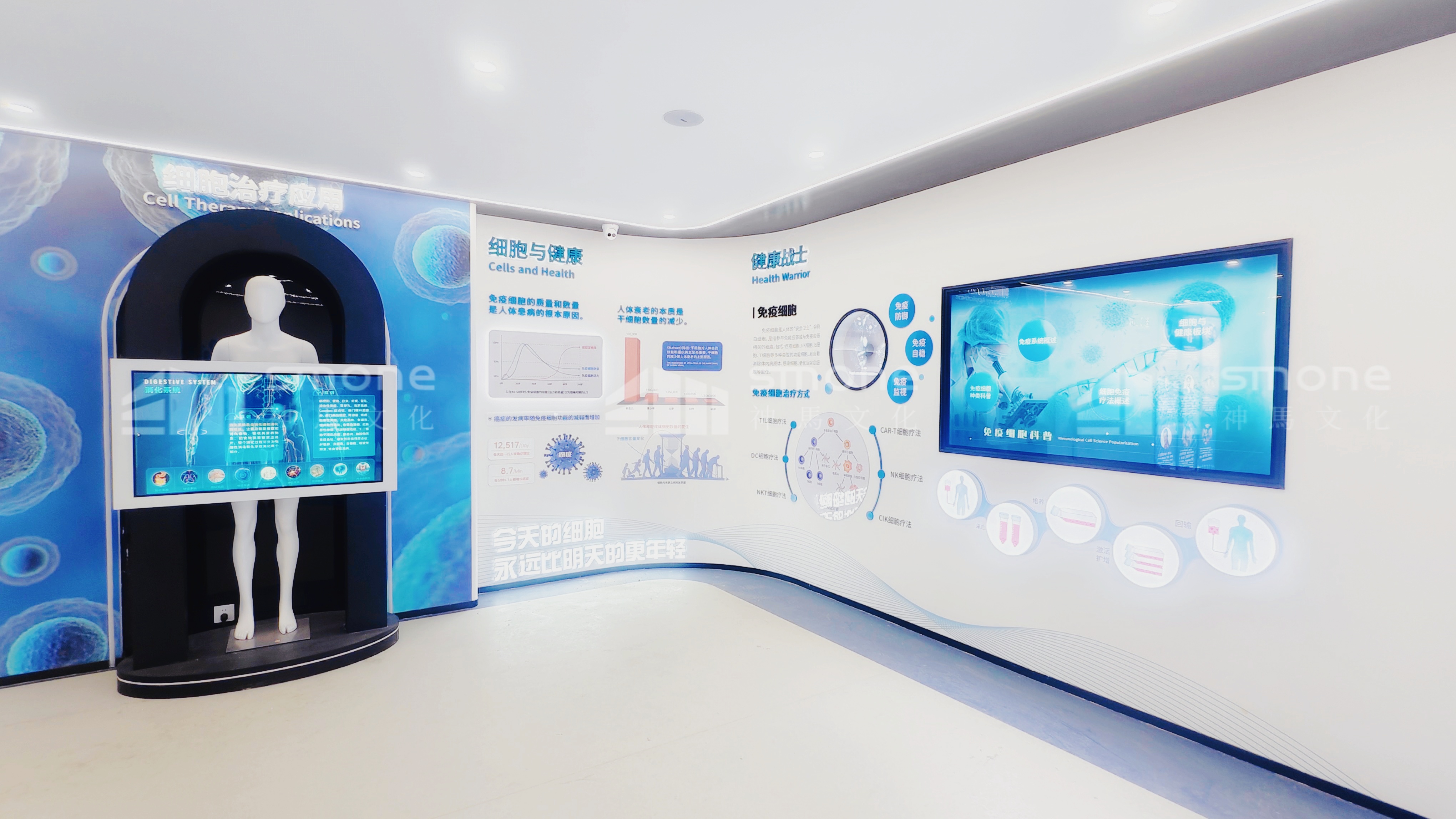 赛尔斯落地图 (12).JPG