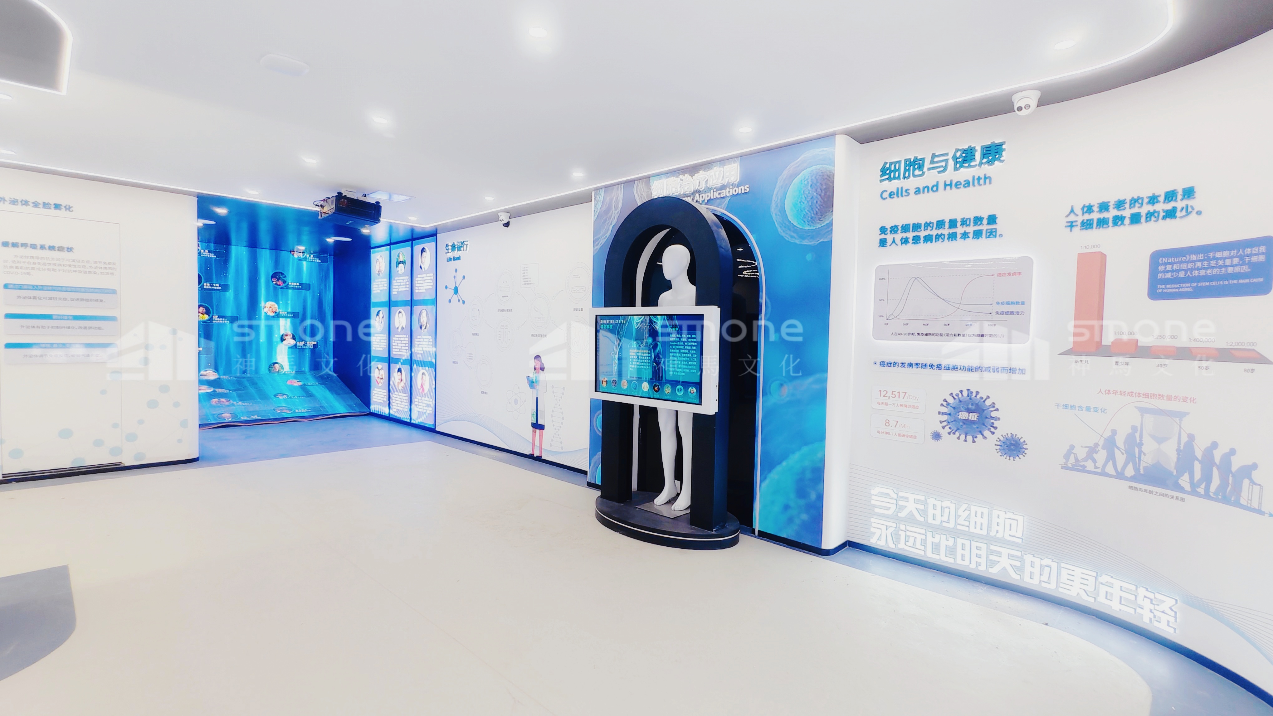 赛尔斯落地图 (14).JPG