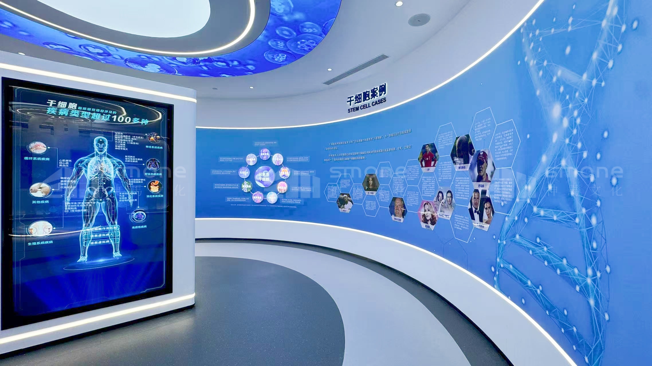 找展厅服务商怕踩坑？神马文化的 “信任说明书”｜神马文化展厅设计头部公司｜干细胞展厅设计｜生物肽展厅设计｜生物医疗展厅｜干细胞科普馆