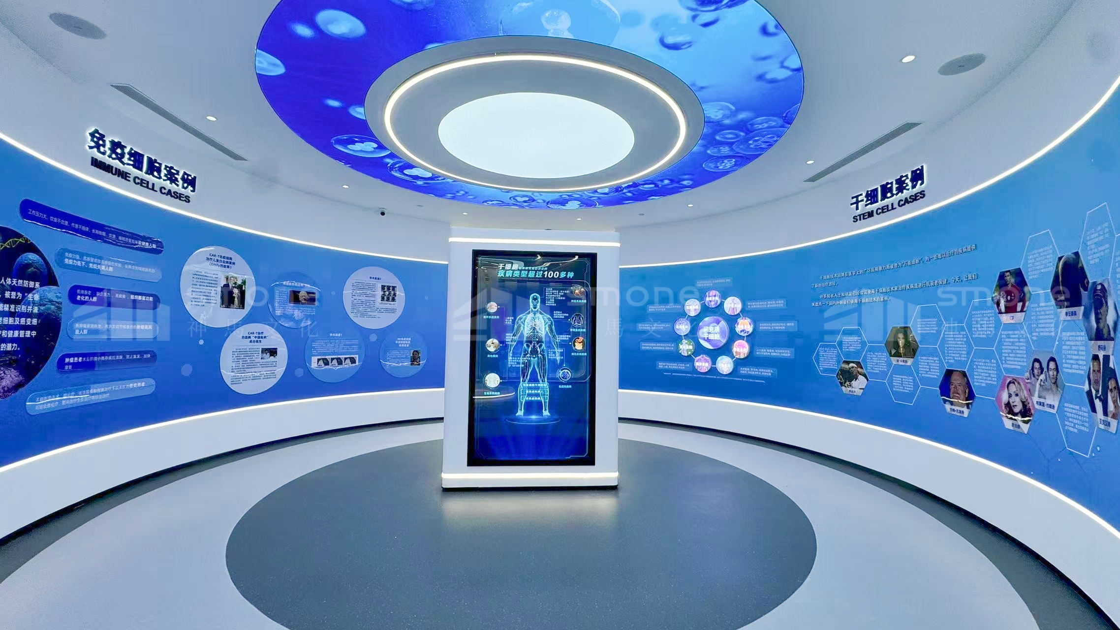 生物肽展厅设计：神马文化破解 “概念模糊” 传播难题｜生物医药展厅设计｜生物医疗展厅设计｜生物肽展厅设计｜干细胞展厅设计｜神马文化