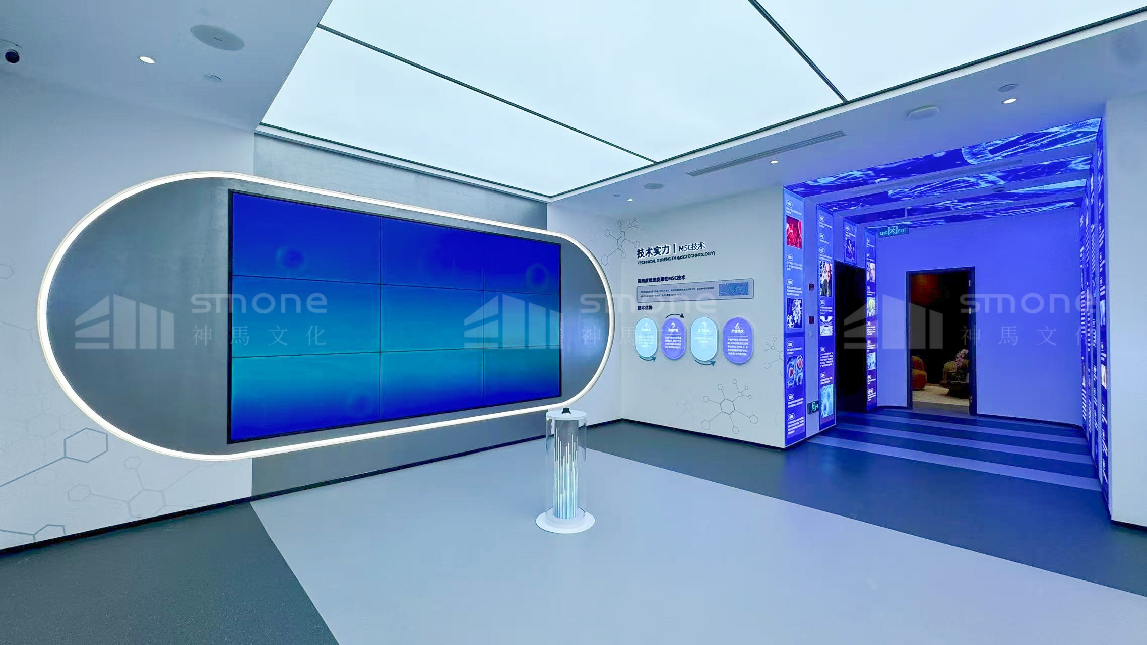干细胞展厅，如何让 “科技感” 与 “体验感” 兼具？｜干细胞展厅设计｜干细胞科普馆设计｜生物肽展厅设计｜生物医药展厅设计｜神马文化展厅