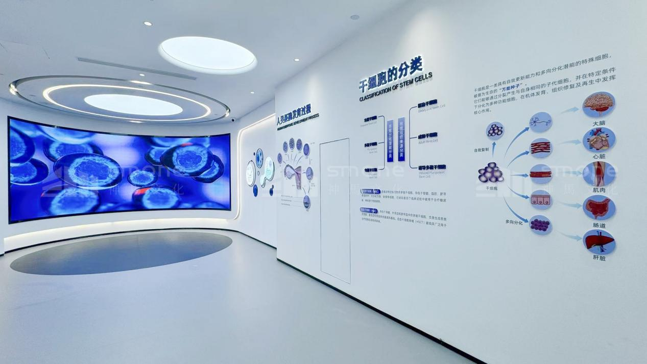 干细胞展厅设计，如何把专业讲得 “好看又好懂”？|干细胞展厅设计|干细胞科普馆设计|生物肽展厅设计|生物医药展厅设计|神马文化展厅设计公司